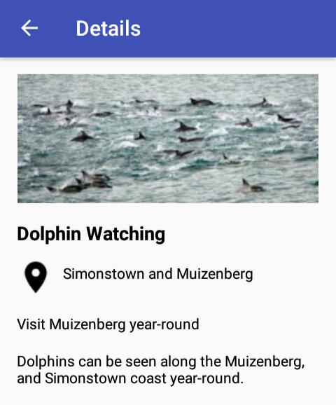 dolphins_details